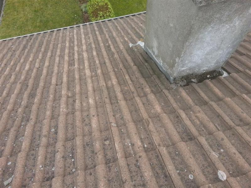 Act-Fast-Roofing-Roof-Repair(107)